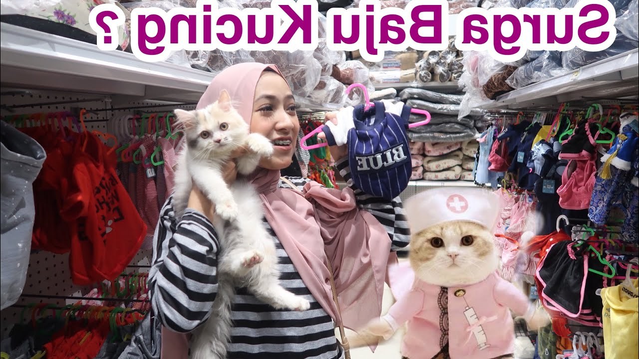 Inspirasi Cari Baju Lebaran Dddy Cari Baju Lebaran &amp; Aksesoris Untuk Kucing