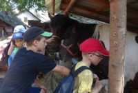 Model Gaun Pengantin Muslim Modern 2015 O2d5 Dsc 800x450 Å ad Mavrica