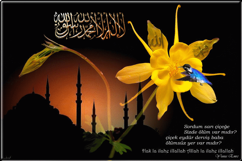 Kata Kata Mutiara Islam Bergambar Gif – Ragam Muslim