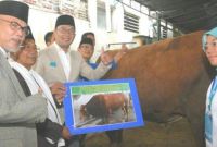 Design Baju Lebaran Ridwan Kamil D0dg Idul Adha Pertama Jadi Gubernur Ridwan Kamil Semoga