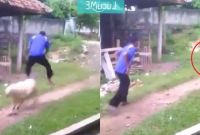 Inspirasi Baju Lebaran Lucu Bikin Ngakak Jxdu Video Kocak Matador Kambing Ini Bikin Ngakak Guling