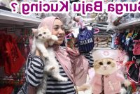 Inspirasi Cari Baju Lebaran Dddy Cari Baju Lebaran &amp; Aksesoris Untuk Kucing